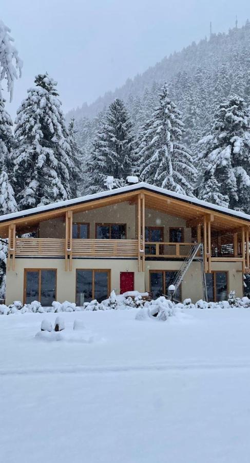 Chalet Relax Molveno E Andalo Dolomiti Villa Eksteriør billede
