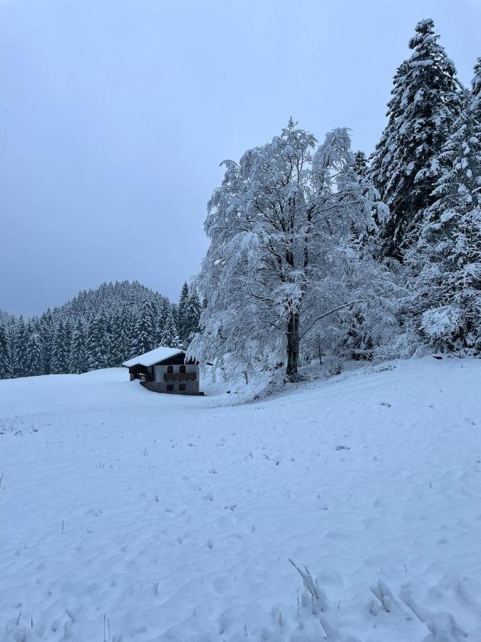 Chalet Relax Molveno E Andalo Dolomiti Villa Eksteriør billede