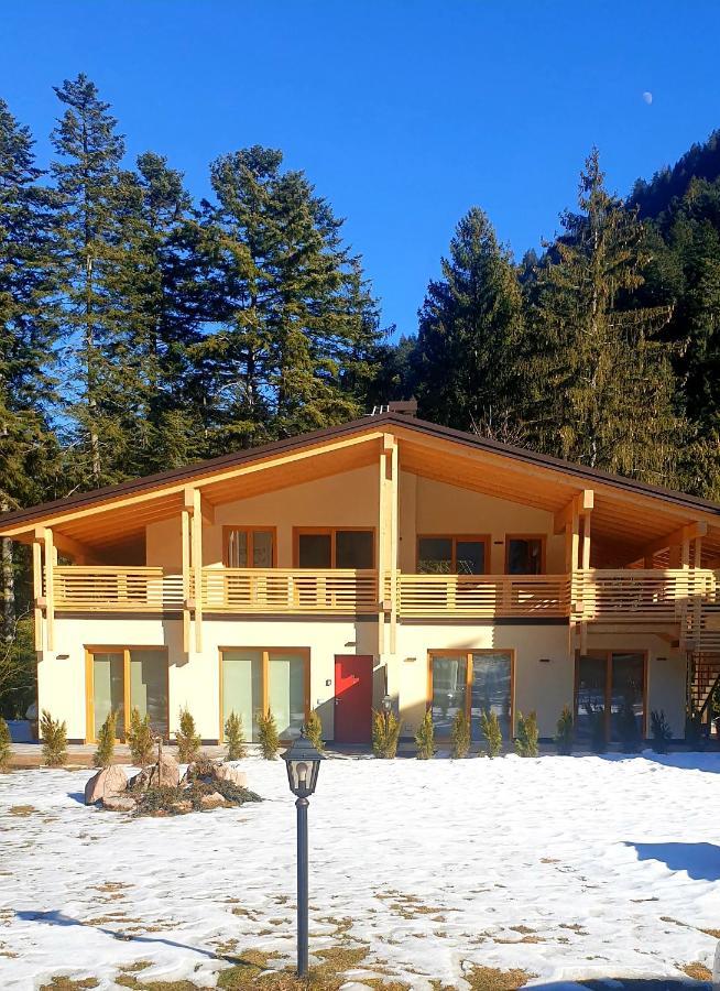 Chalet Relax Molveno E Andalo Dolomiti Villa Eksteriør billede