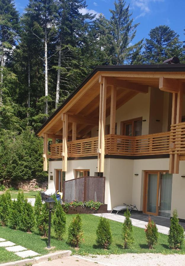 Chalet Relax Molveno E Andalo Dolomiti Villa Eksteriør billede