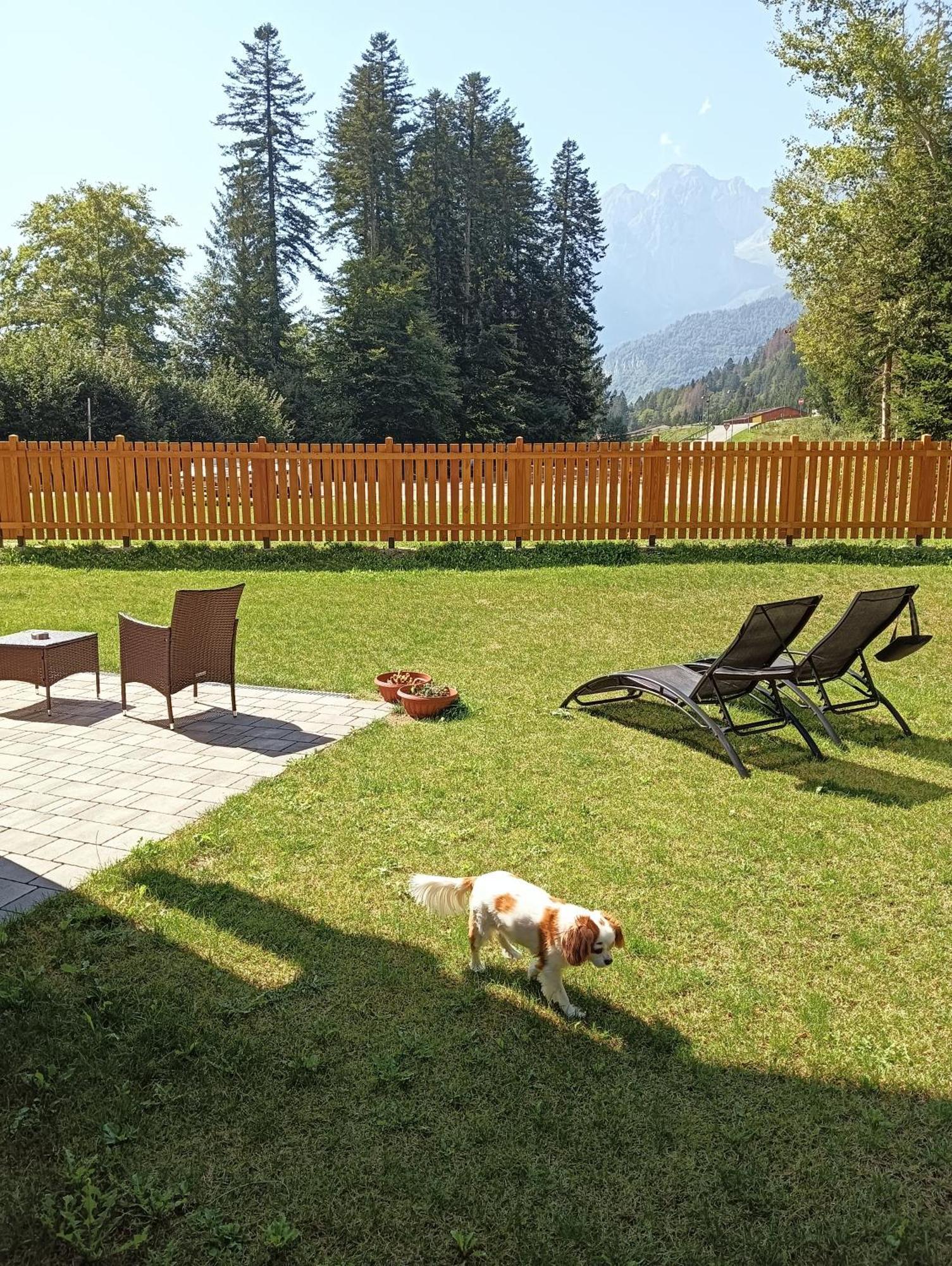 Chalet Relax Molveno E Andalo Dolomiti Villa Eksteriør billede